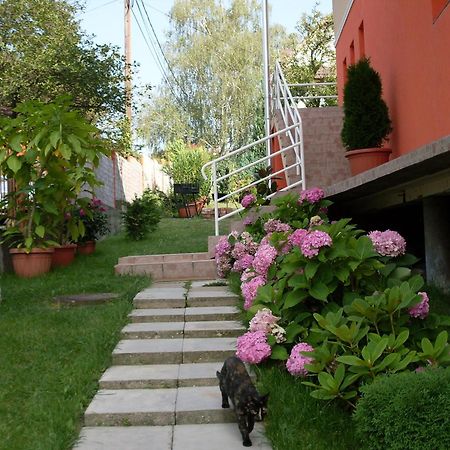 Éden Vendégház Miskolc Exterior foto